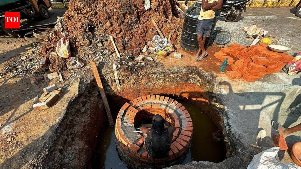 Sewage plants in state used at 55% of capacity, Centre told | Goa News