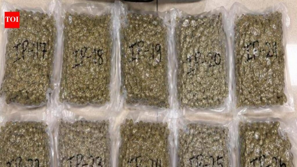 Customs seizes 15kg of hydroponic ganja at airport | Chennai News