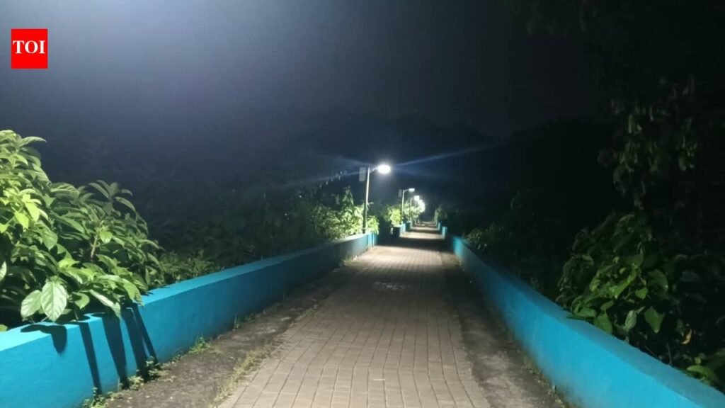 Lights back on Bicholim walkway | Goa News