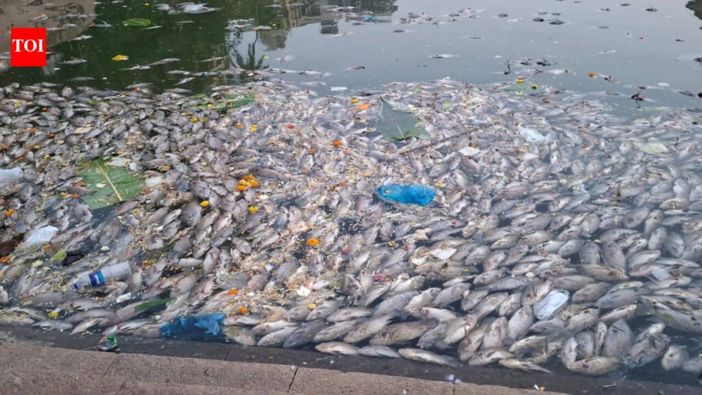 Hundreds of fish found dead in historic Mumbai’s Banganga Tank, BMC calls meeting | Jaipur News