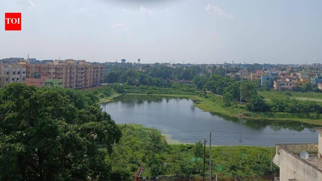 BMC to monetise 12 natural ponds through pisciculture | Bhubaneswar News