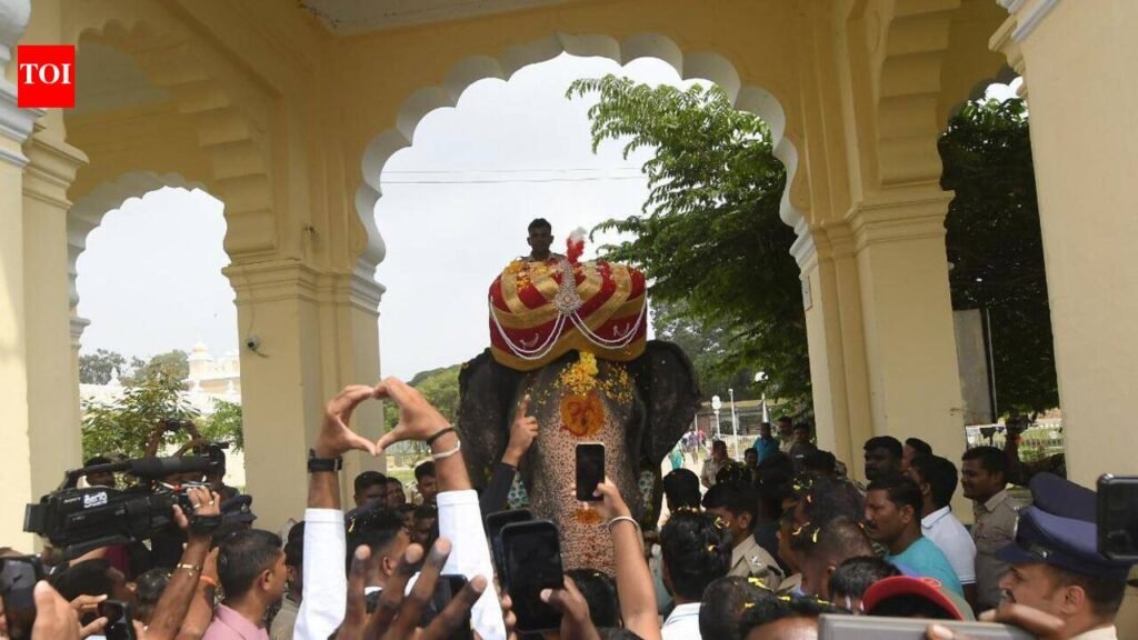 Mysuru Palace rolls out royal welcome for nishane elephant Abhimanyu | Mysuru News