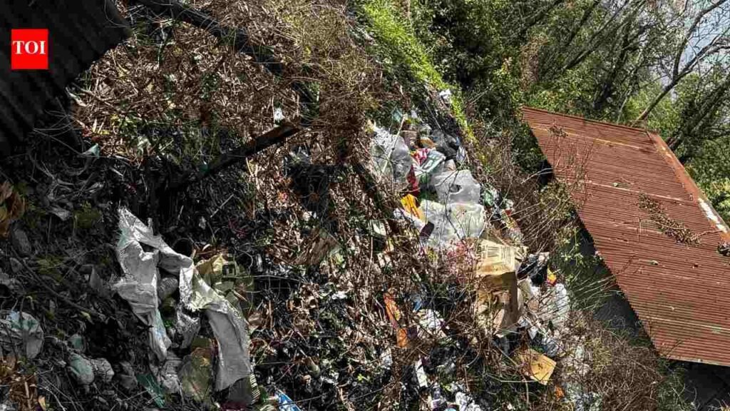 Community norms shape plastic-waste practices: NU study | Guwahati News