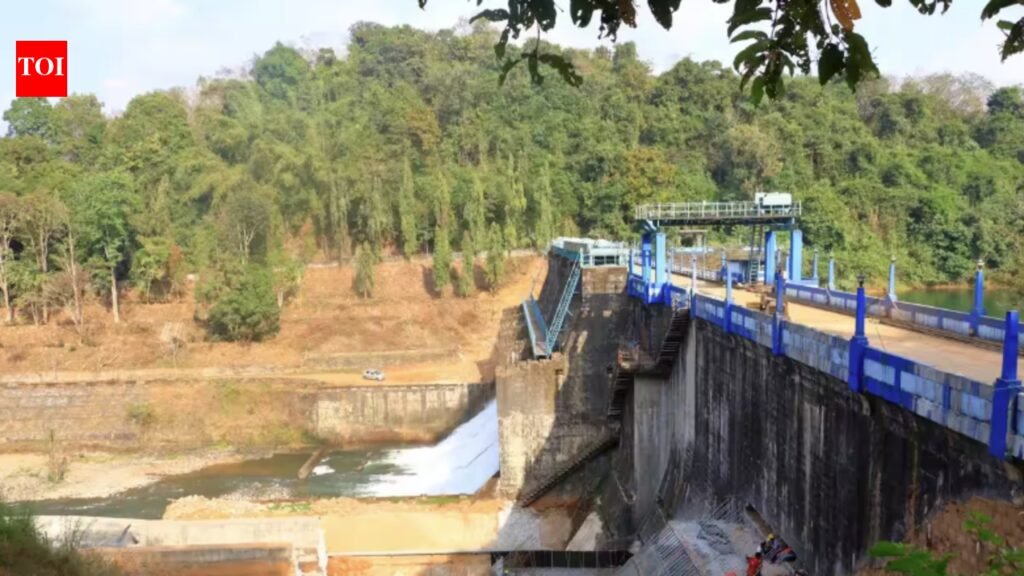 As reservoirs run low, Hyd stares at drinking water crisis by year-end | Hyderabad News