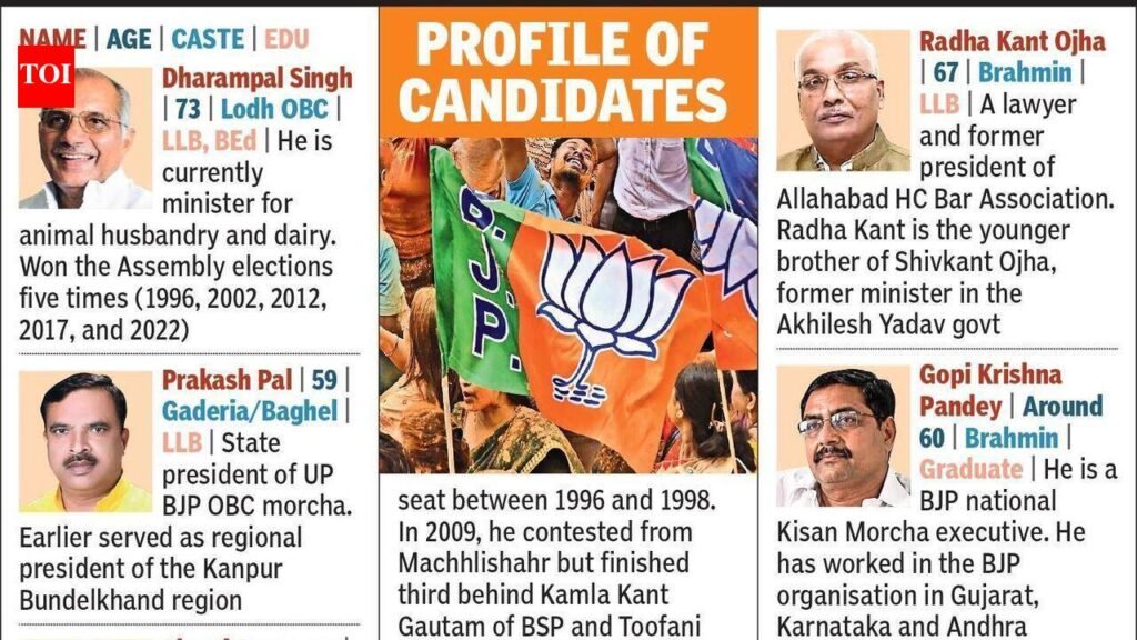 BJP 8 RS picks reflect caste balance, organisational heft | Lucknow News