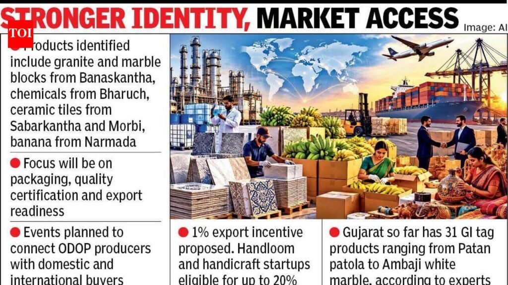 Gujarat eyes GI tags for more items under ODOP push | Ahmedabad News