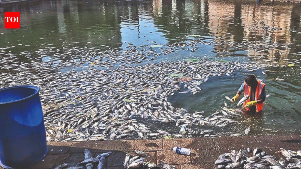 Banganga fish deaths: BMC plans 10 artificial ponds, more oxygenation pumps ahead of Pitru Paksha | Mumbai News