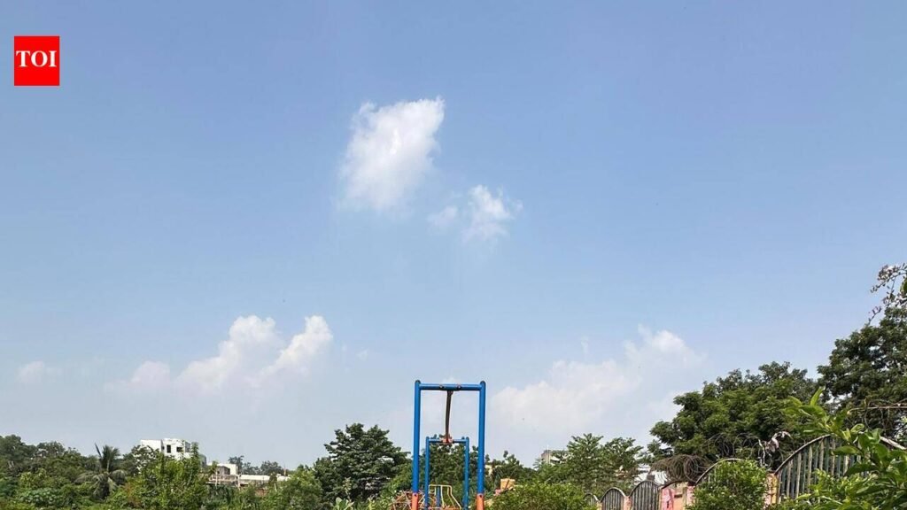 Jamshedpur Public Park Falls Into Disrepair 3 Years After Opening; Locals Demand Renovation | Ranchi News
