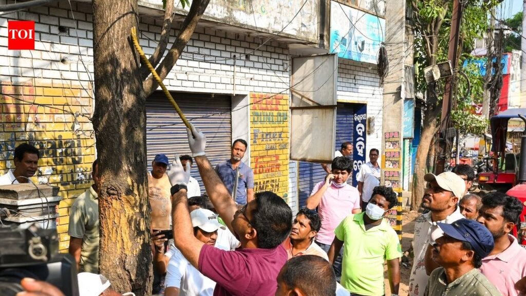 ‘Free the Tree’ drive de-nails trees in silk city | Bhubaneswar News