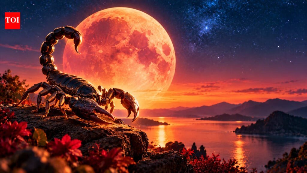 Scorpio Season 2026: 5 Zodiac Signs Will Step Into a Powerful New Chapter