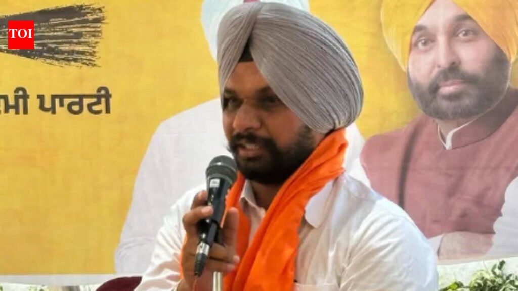 ‘PCS officer’ bride vanishes with 14 tola gold, cash after marrying AAP neta; 6 booked | Chandigarh News