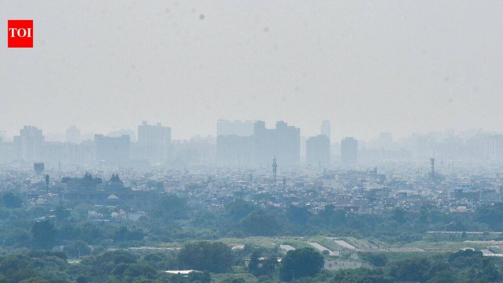 5 of India’s 10 most polluted cities are in Haryana. And winter is yet to arrive | Gurgaon News