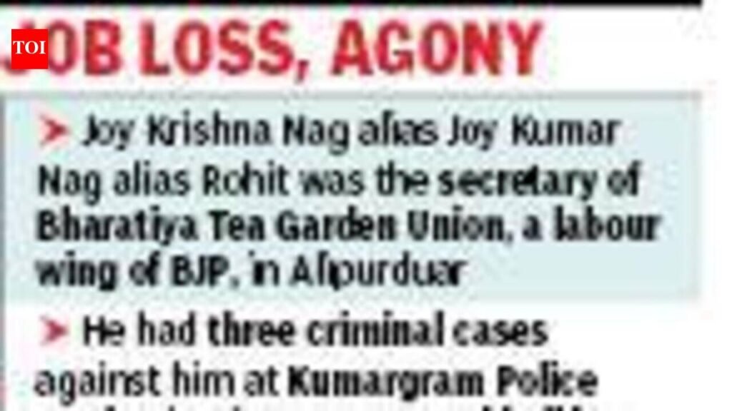Pay Rs 5.4 lakh to tea garden worker for 2-month illegal detention after being granted bail: Calcutta High Court to state | Kolkata News