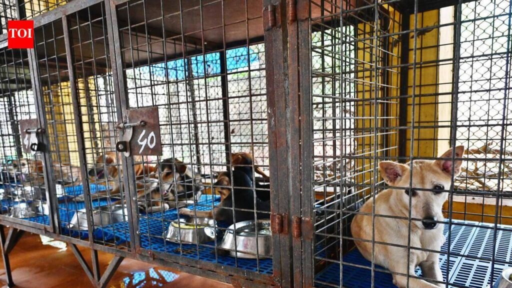 Vandithadam stray dog hospital construction to begin within two months | Thiruvananthapuram News