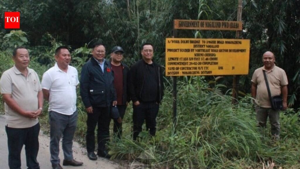 Mokokchung leads Nagaland in sustainable development ranking | Guwahati News