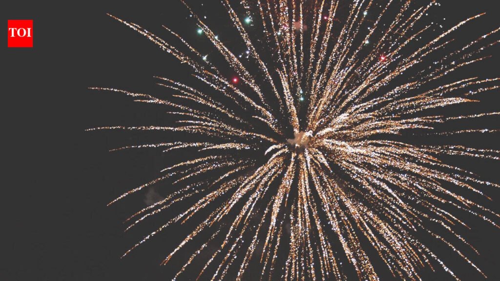 Mumbai Police bans firecrackers, lasers on public roads till December 4 | Mumbai News