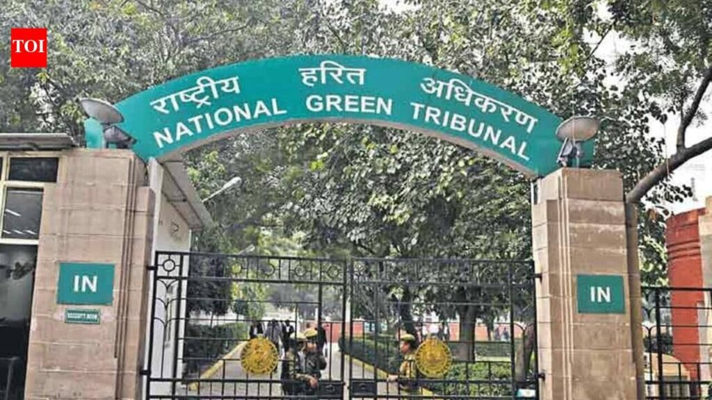 NGT fines Odisha chief secretary, 7 officials Rs 2L for absence in sand mining case | Bhubaneswar News