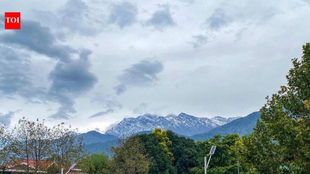 Rain, light snowfall across Himachal Pradesh | Chandigarh News