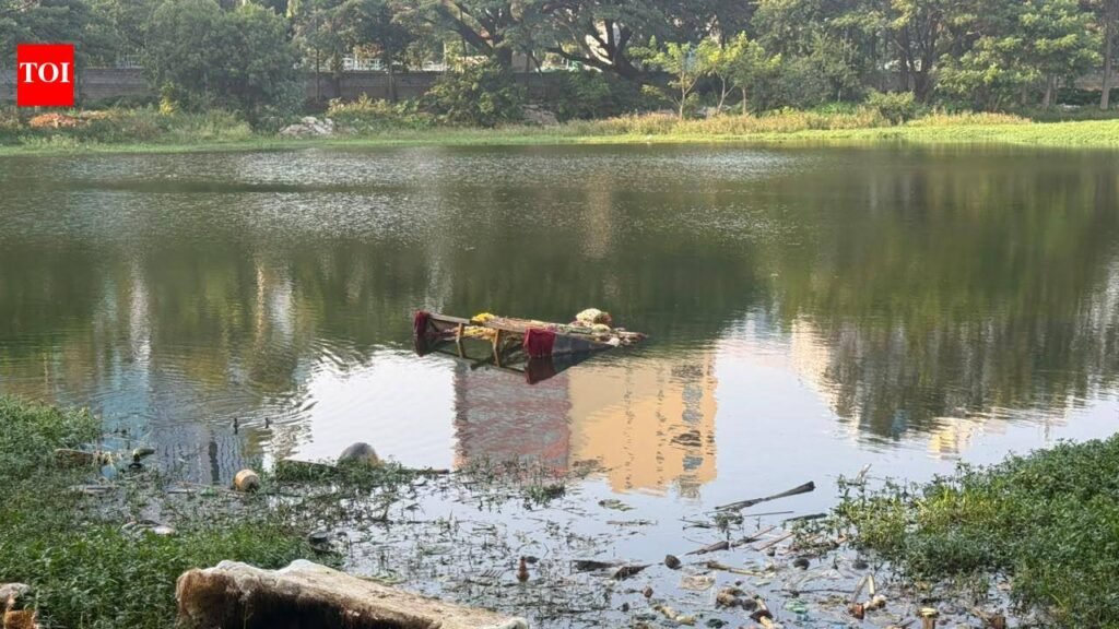 East Bengaluru lake volunteers seek patrolling, action against littering | Bengaluru News