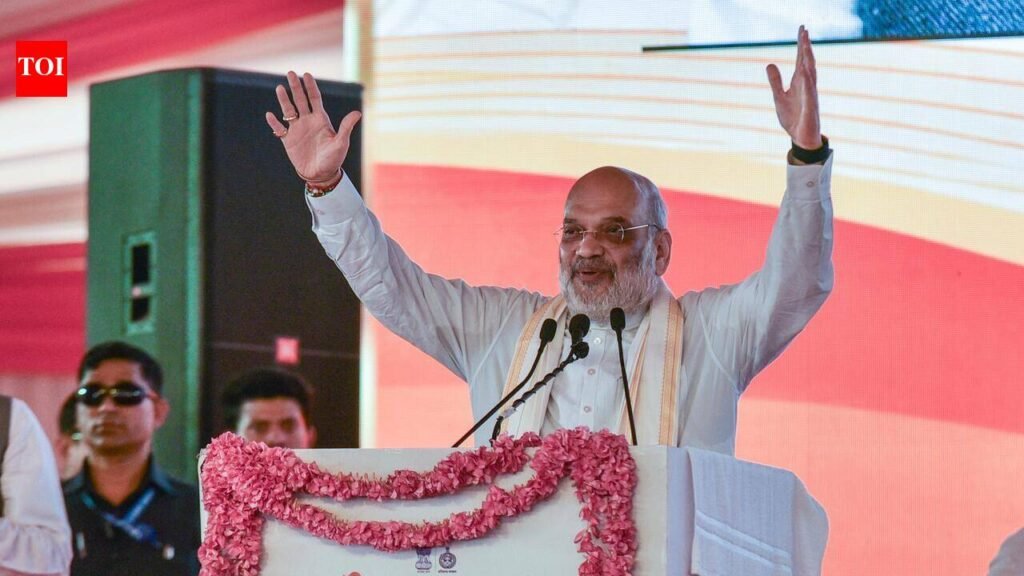 Modi’s public office recordshows talent & ability totake people along: Shah | Gurgaon News