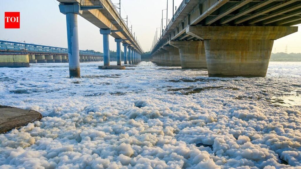 Supreme Court flags floodplain definition in Centre’s Yamuna clean-up plan | Noida News