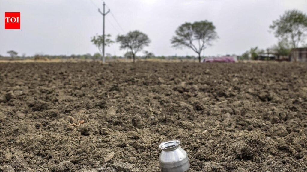 Why a 20% crop loss can wipe out 2/3rd of farm income | Hyderabad News