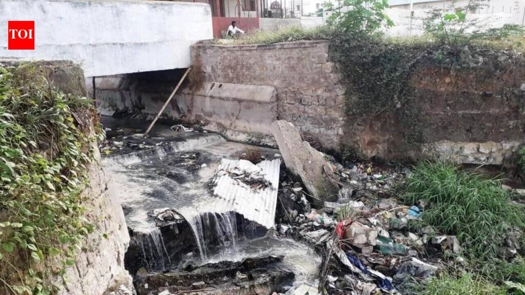 NGT seeks reply from MoEFCC on strengthening industrial effluent rules | Gurgaon News