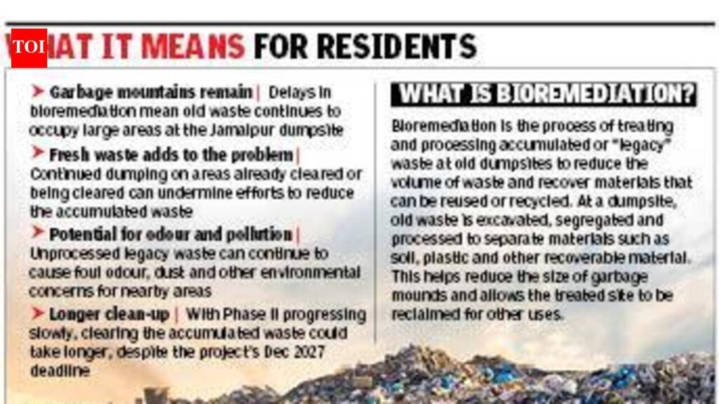 Garbage mountain grows as dump cleanup stalls | Ludhiana News