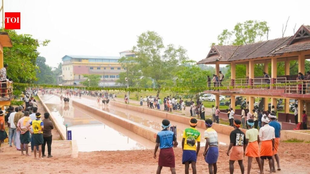 35 of 42 new Kambala runners impress in practical test | Mangaluru News