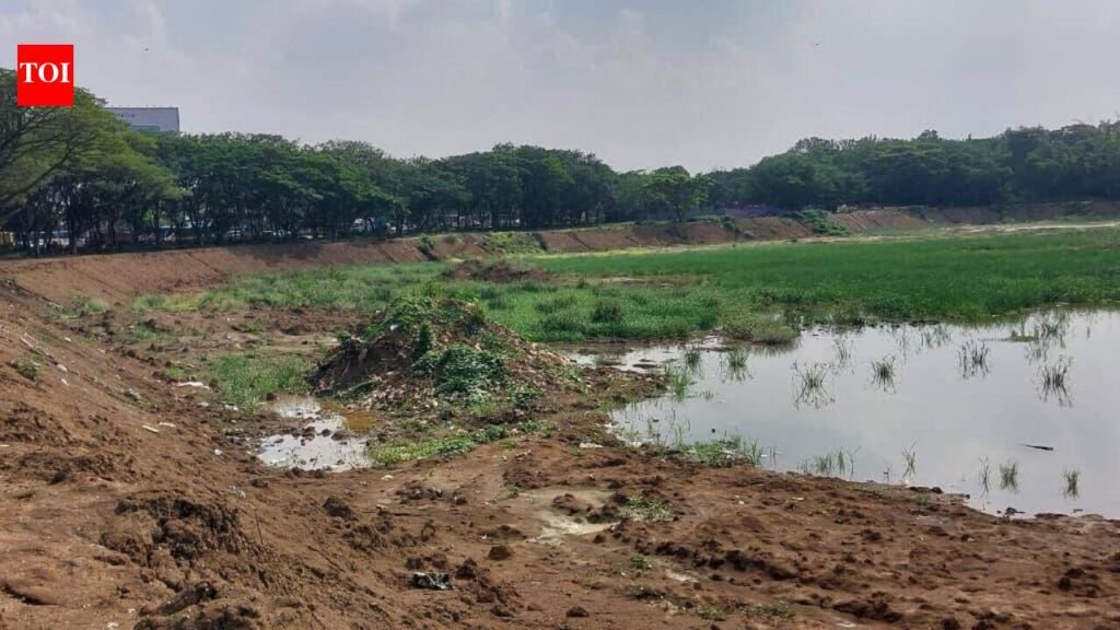 Winter migrants set to arrive, but Bengaluru’s Hebbal lake revamp still six months away | Bengaluru News