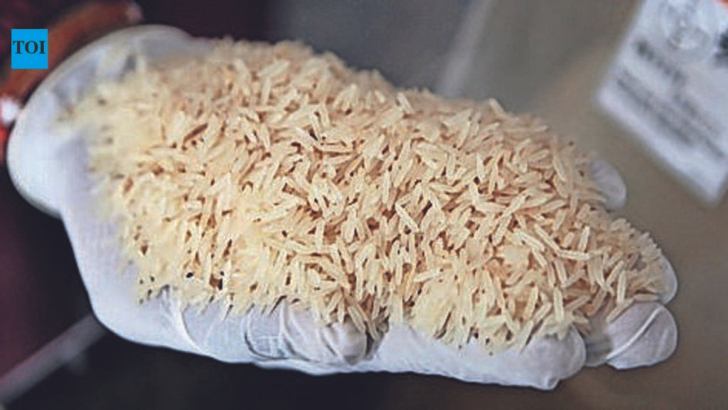 Punjab projected to lead basmati growth trajectory with production jump | Chandigarh News