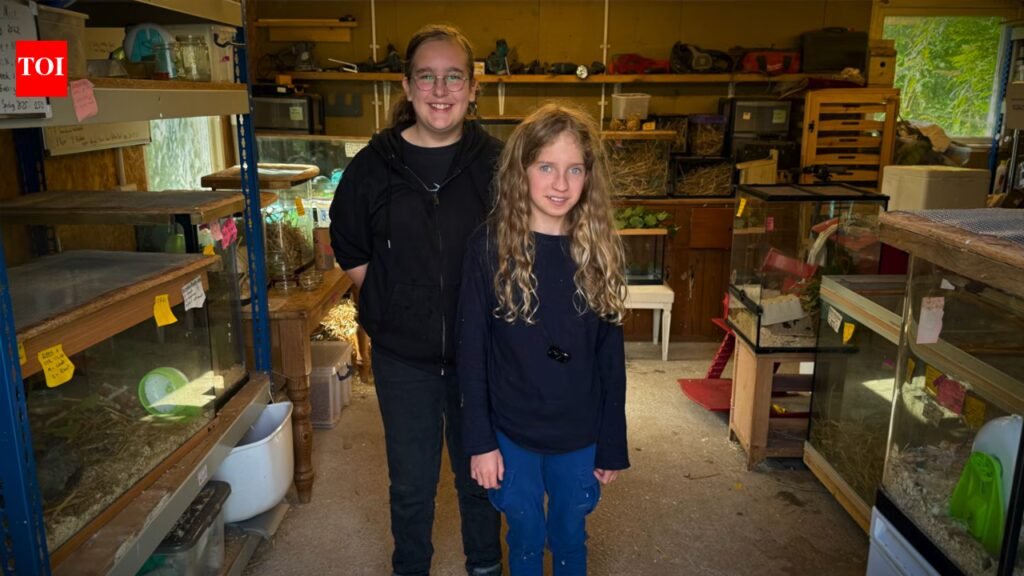 Two 14-year-old UK conservationists are recruiting 20 children, aged 8 to 13, to raise harvest mice at home and help rebuild their declining population | World News