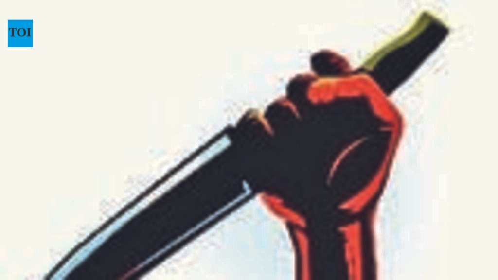 Ahmedabad: Man stabbed to death by juvenile in fight over closing of house gate | Ahmedabad News