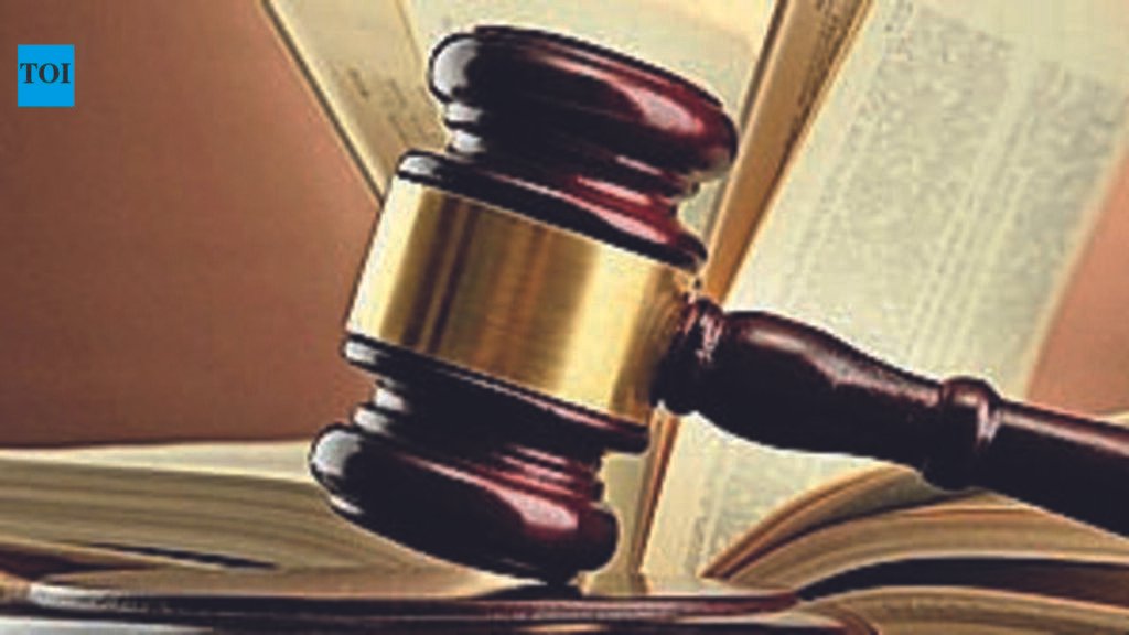 Illegal mining on patta land is fresh offence, double jeopardy no defence: HC | Bengaluru News