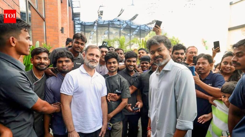 Vijay hosts Rahul for lunch, holds one-on-one meeting | Chennai News