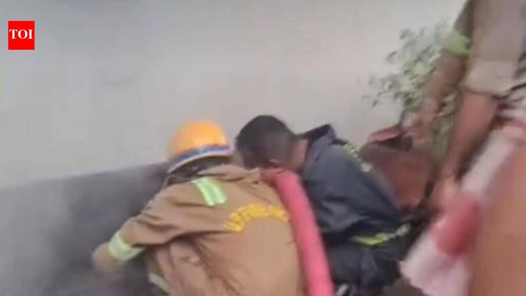 Fire breaks out in paintbrush warehouse, no casualties | Kanpur News