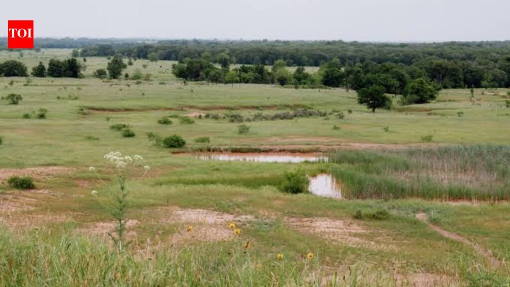 In 1958, Texas voters rejected a $15 million reservoir plan; 68 years later, a judge overturned a new permit for Lake Ringgold after ranchers warned the project could flood more than 16,000 acres of farmland