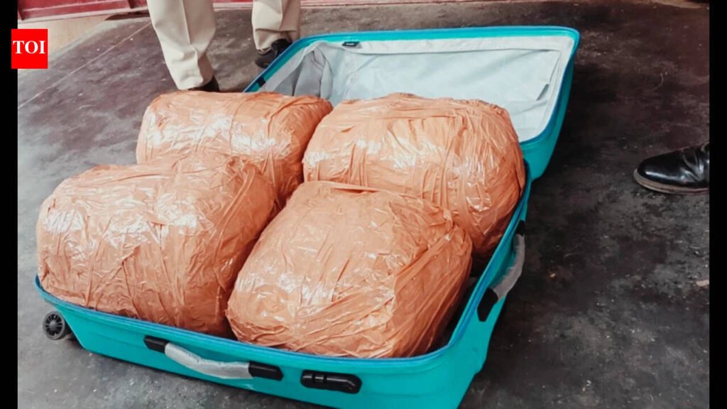 22 kg of ganja seized from private bus near Hosur; three crew members arrested | Coimbatore News