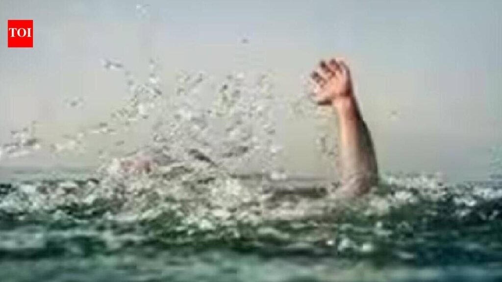 Farmer drowns while escaping stray bull in Auraiya | Kanpur News