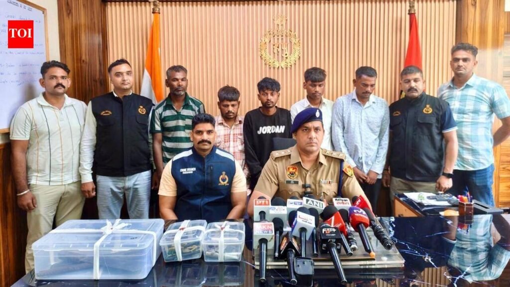7 of MP gang that recced homes before robbery held after encounter in Faridabad | Gurgaon News
