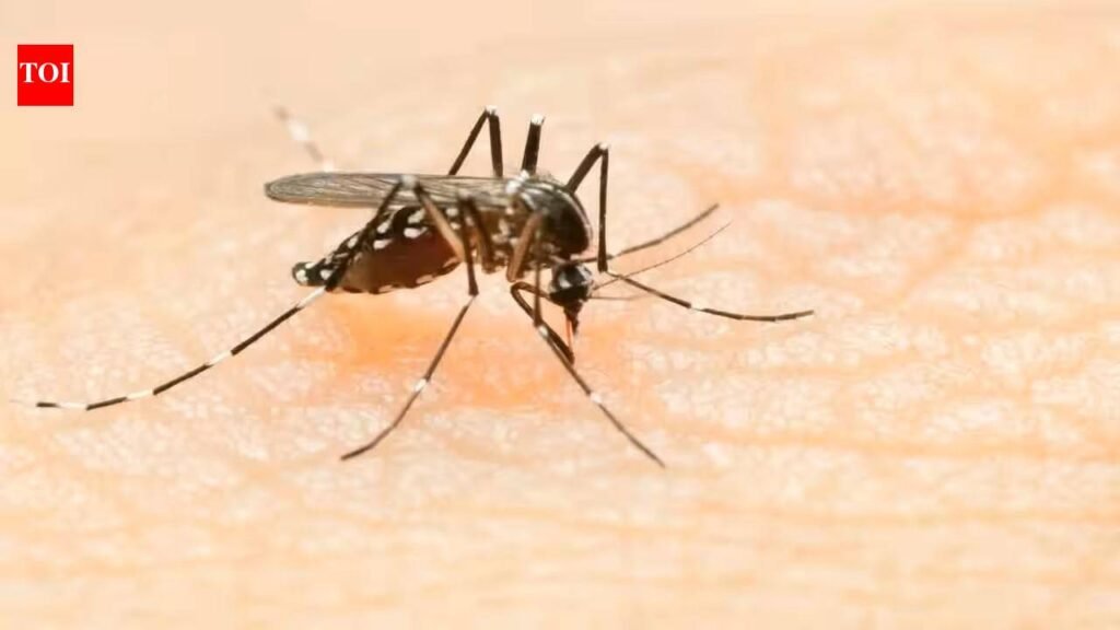 Pregnant woman with dengue fails to get hospital bed in Mumbai | Mumbai News