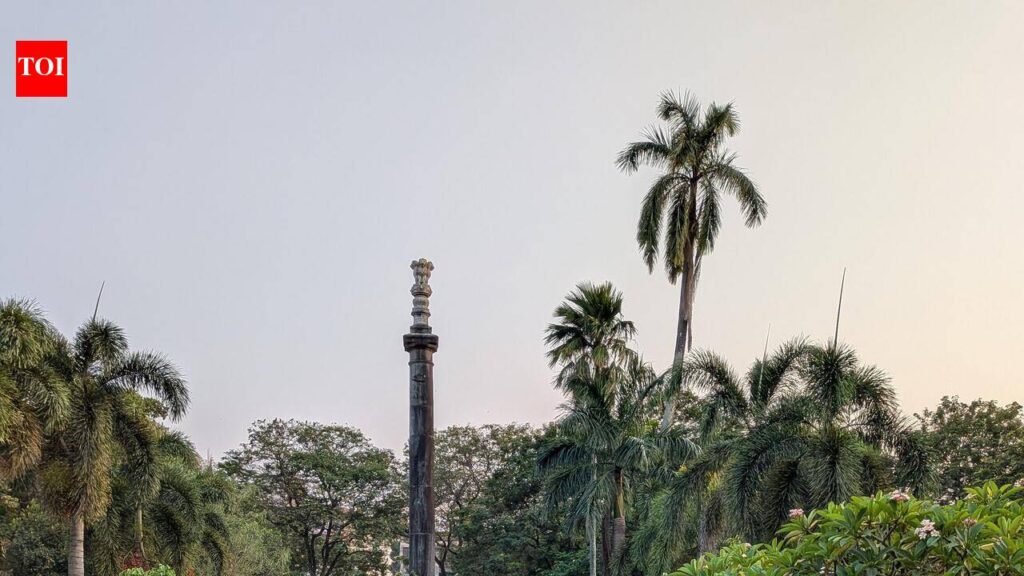 At spl Sunday hearing, HC orders release of seven activists detained during CJP protest | Goa News