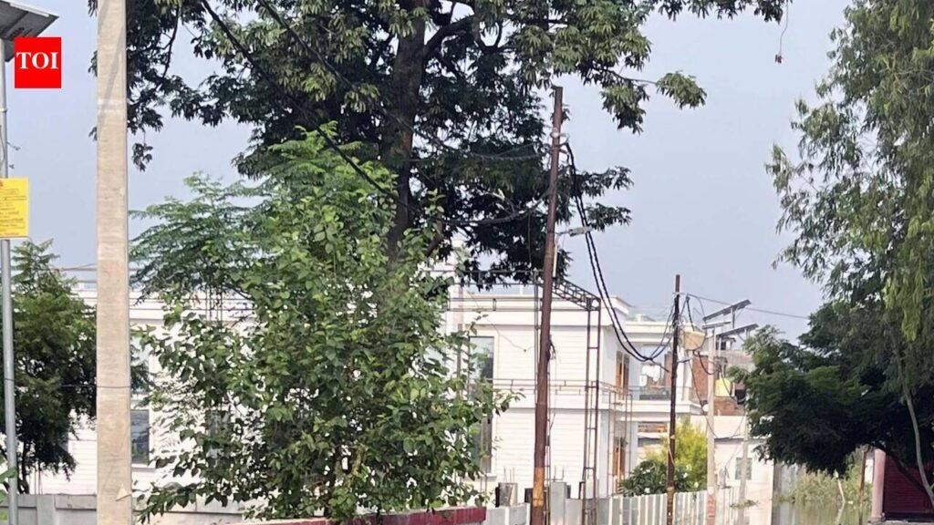Floodwater recedes, time to repair damages | Lucknow News