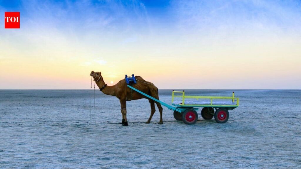 This white-sand desert in India turns silver under the moon: Why winter is the best time to experience it’s beauty