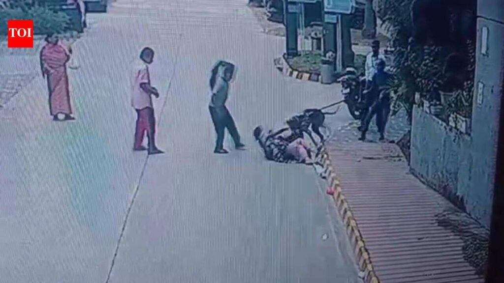 Unmuzzled, greyhound kills pug, attacks woman in Noida condo | Noida News