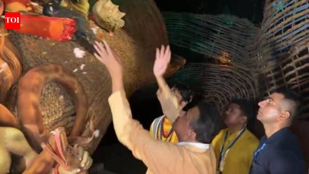 After regime change, colour revolution sweeps Kol pujas | Kolkata News