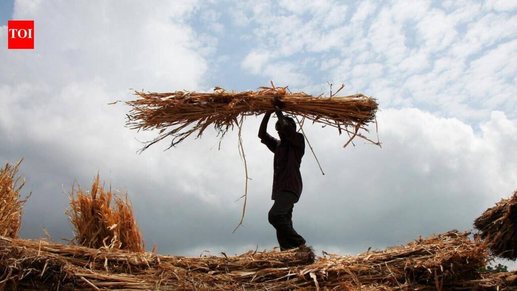 More Maharashtra talukas now show shrinking groundwater, soil moisture falls too | Pune News