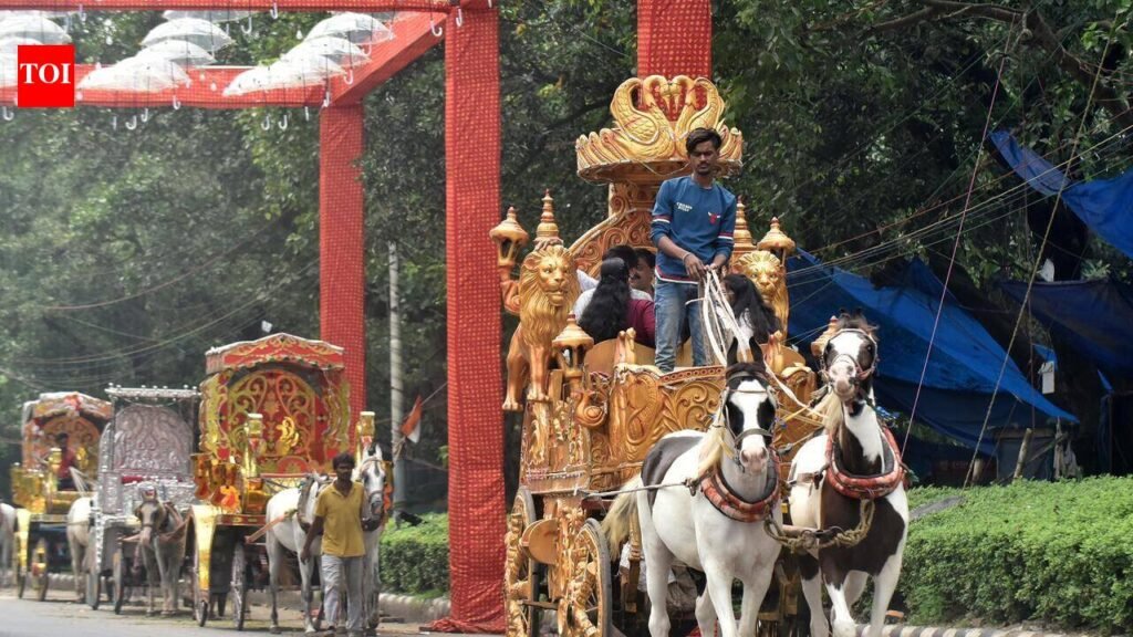 Carriage Owners, Animal Lovers On Either Side Of Horse Divide | Kolkata News