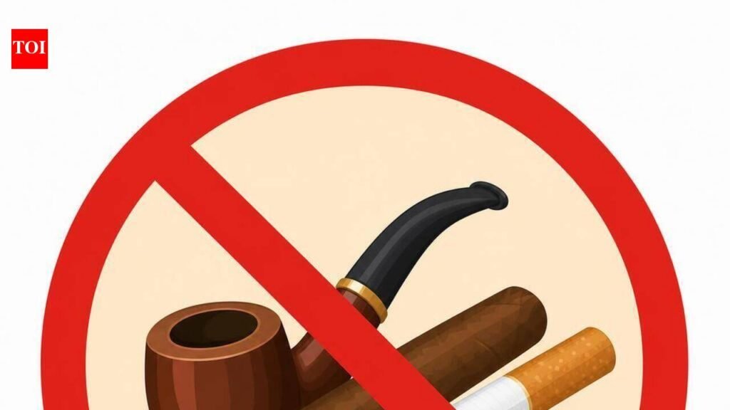 Passenger Arrested for Smoking Chillum in SpiceJet Dubai-Mumbai Flight Loo | Mumbai News