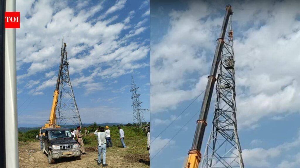 After 50 days atop 200-foot tower in Punjab, 2 elderly dam oustees climb down | Chandigarh News
